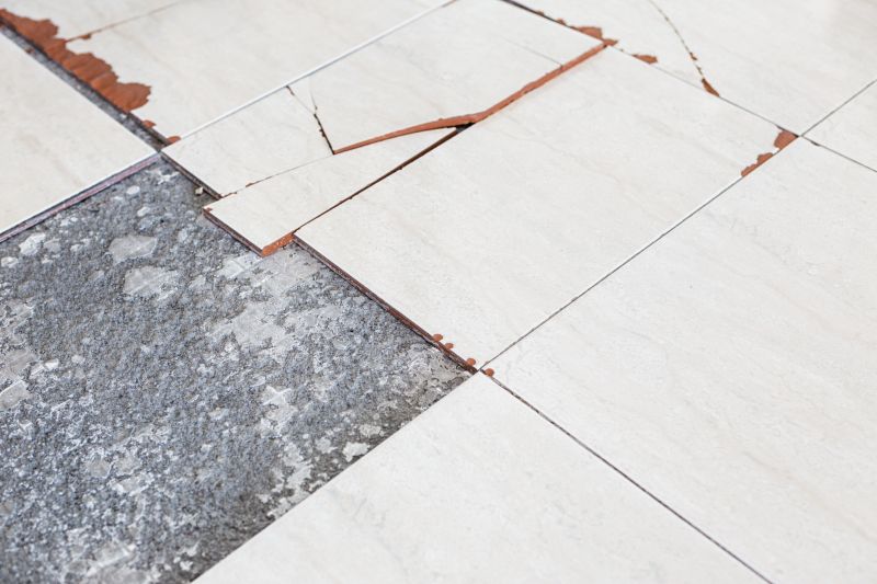 Tile Damage Repair